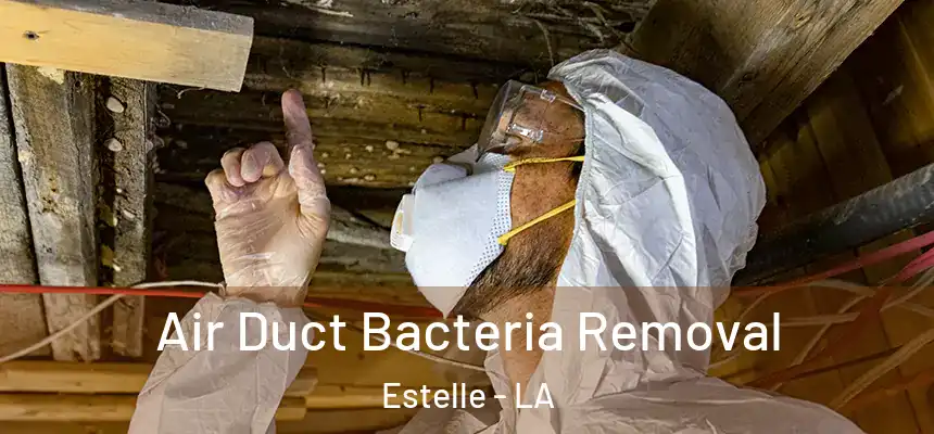 Air Duct Bacteria Removal Estelle - LA