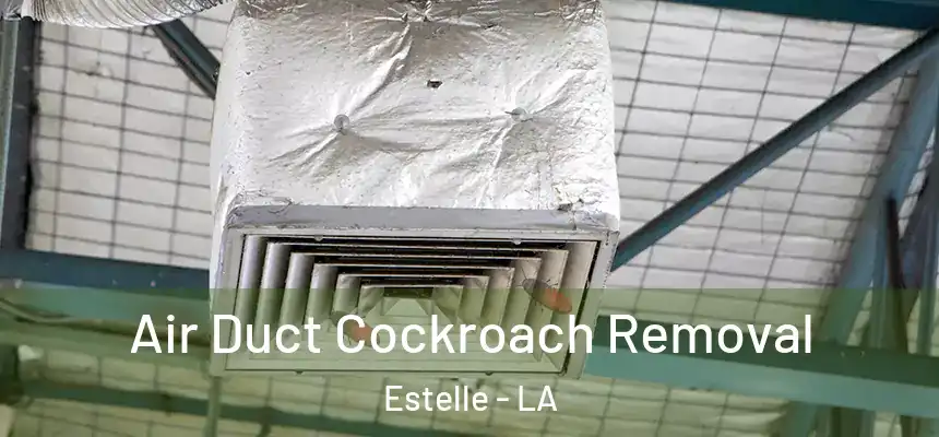 Air Duct Cockroach Removal Estelle - LA