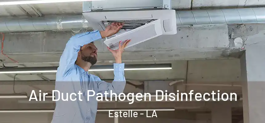 Air Duct Pathogen Disinfection Estelle - LA