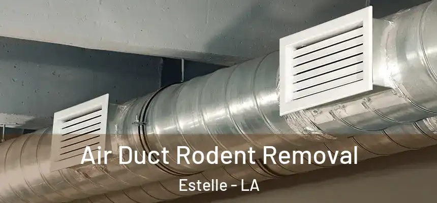 Air Duct Rodent Removal Estelle - LA