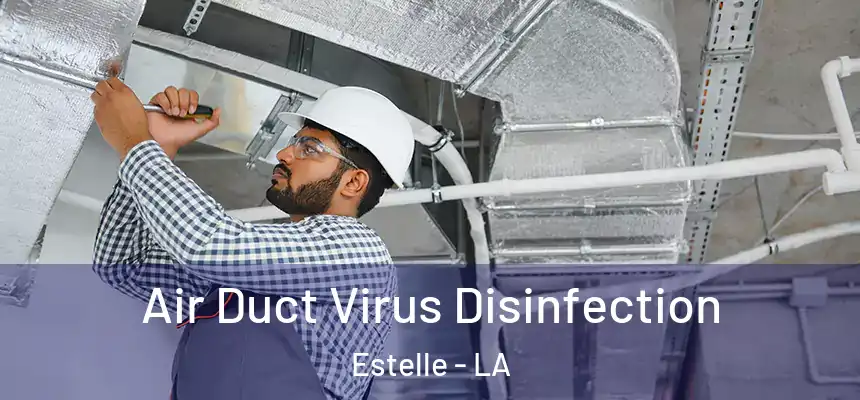 Air Duct Virus Disinfection Estelle - LA