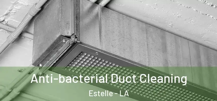  Anti-bacterial Duct Cleaning Estelle - LA