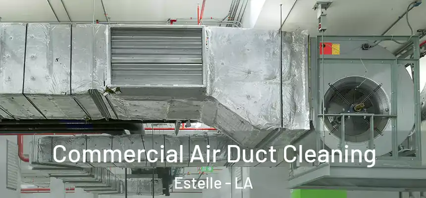 Commercial Air Duct Cleaning Estelle - LA