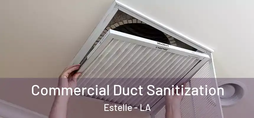 Commercial Duct Sanitization Estelle - LA