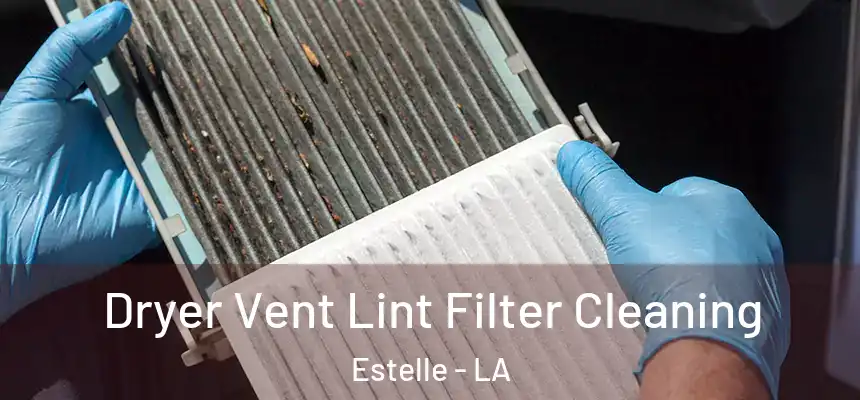  Dryer Vent Lint Filter Cleaning Estelle - LA