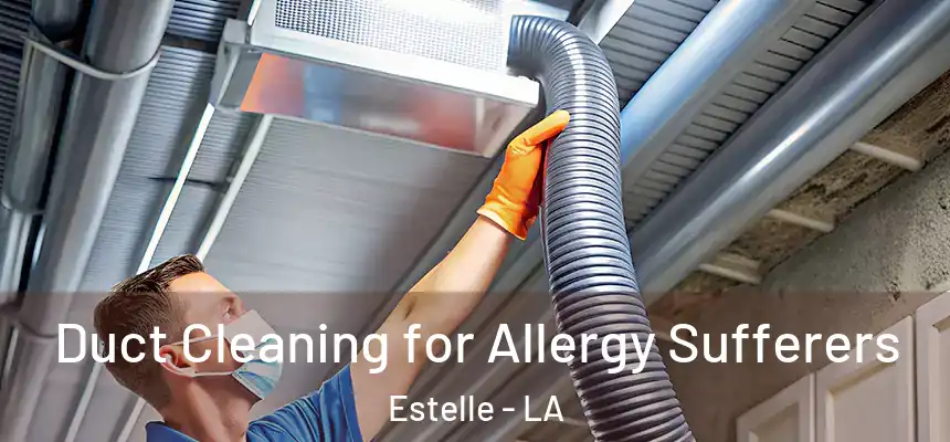 Duct Cleaning for Allergy Sufferers Estelle - LA
