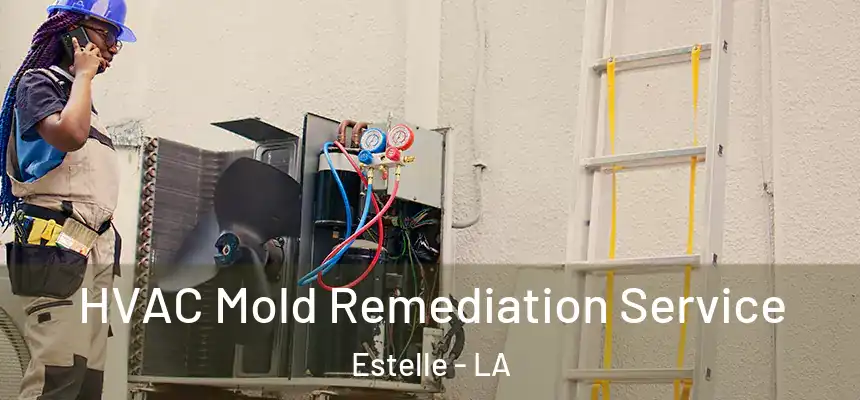 HVAC Mold Remediation Service Estelle - LA