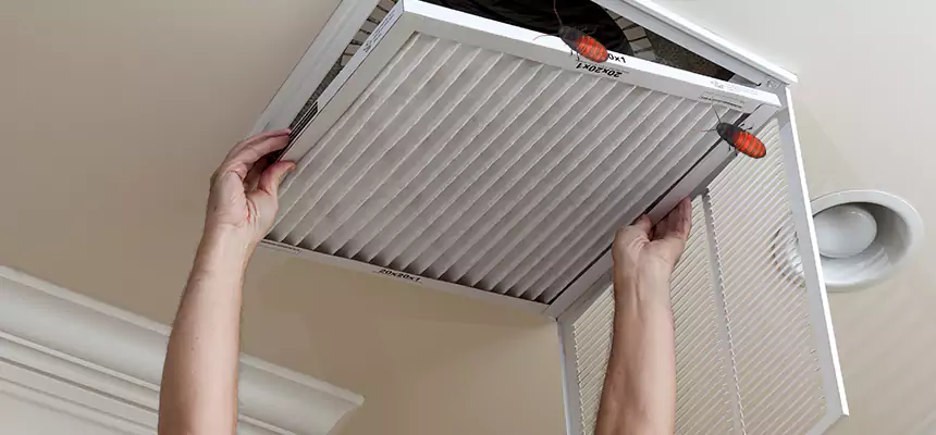 Preventive Cockroach-Proofing for Ducts in Estelle
