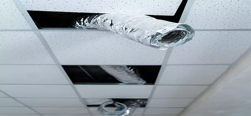 Our Air Duct Pet Hair Removal Services in Estelle, LA