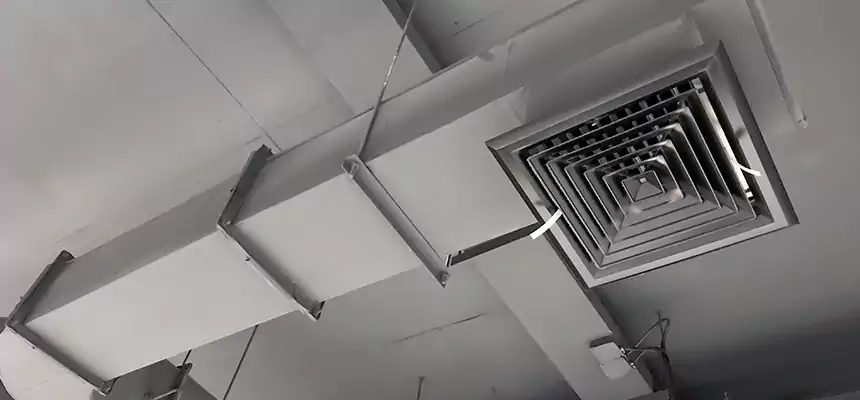 Our Pest Removal From Ducts Services in Estelle, LA