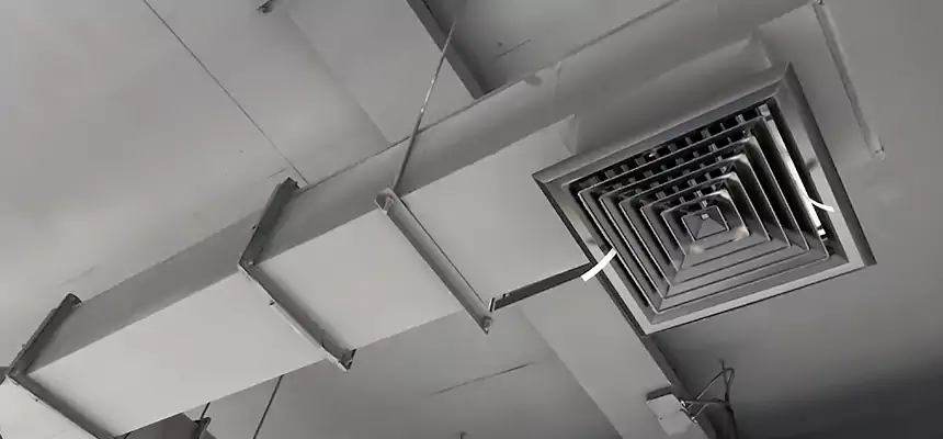 Our Rodent Droppings In Vents Services in Estelle, LA