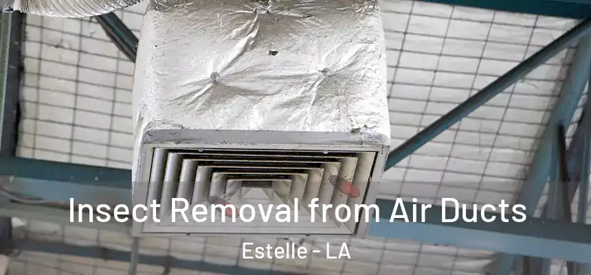 Insect Removal from Air Ducts Estelle - LA