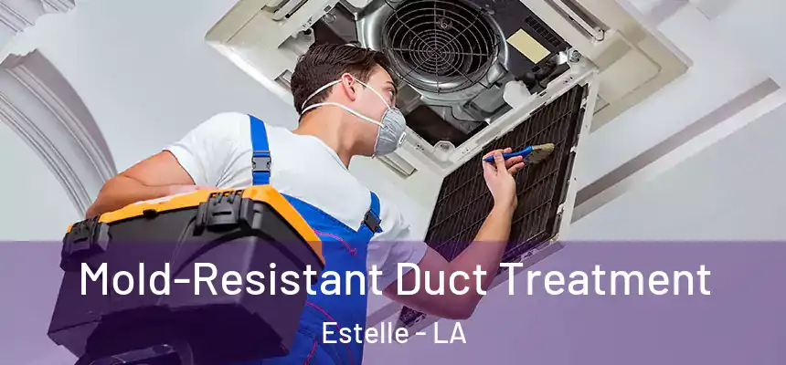 Mold-Resistant Duct Treatment Estelle - LA