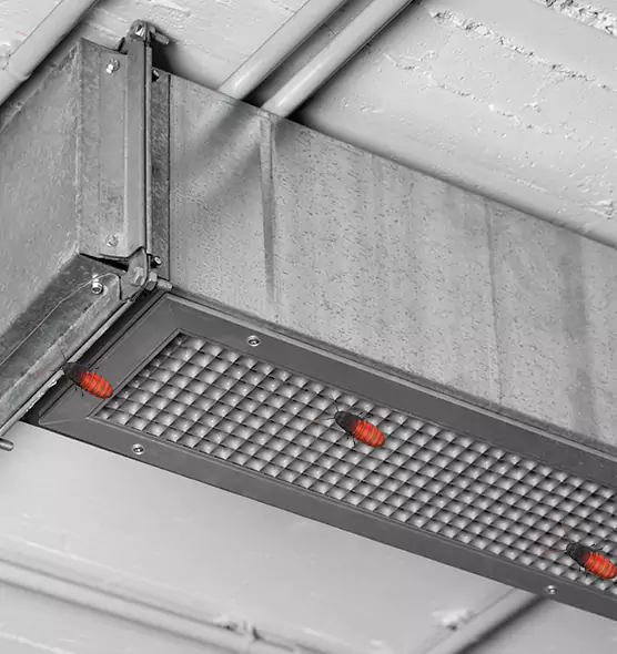 Affordable Insect Removal from Air Ducts in Estelle, LA