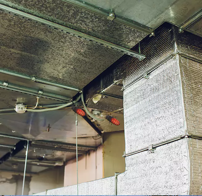 Why Homeowners & Businesses Trust Us in Estelle, LA?