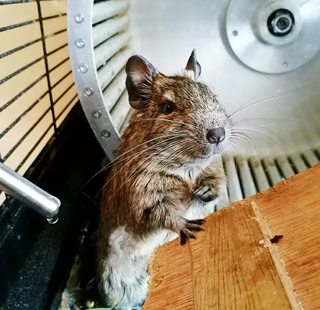 Why Homeowners & Businesses Trust Us Estelle, LA