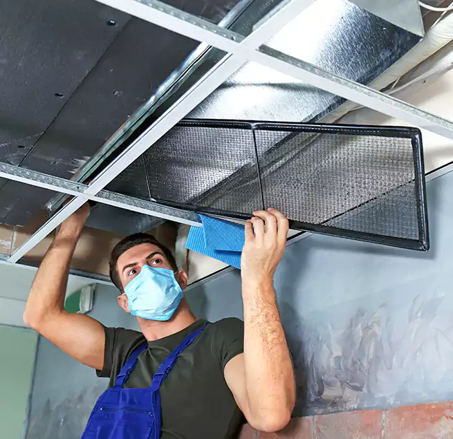 Why Homeowners Businesses Trust Us in Estelle, LA