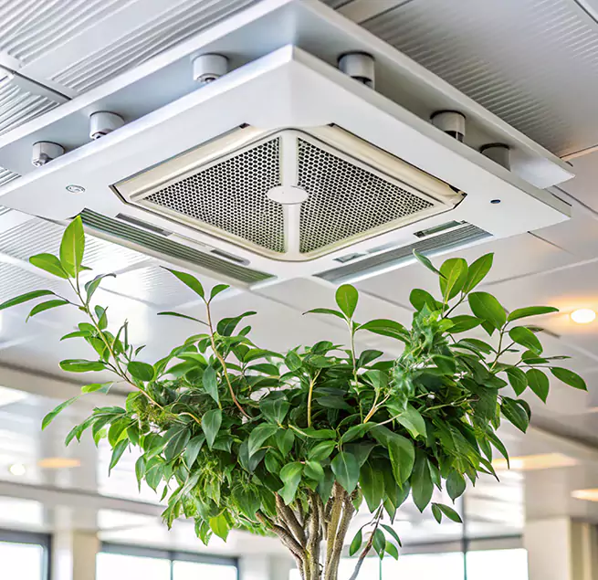 Why Homeowners & Businesses Trust Us in Estelle, LA