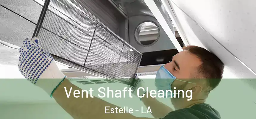  Vent Shaft Cleaning Estelle - LA