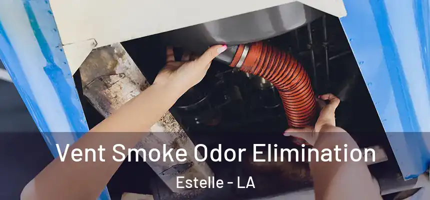 Vent Smoke Odor Elimination Estelle - LA